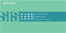 青云領(lǐng)鮮VIS手冊(cè)
